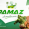 damaz01
