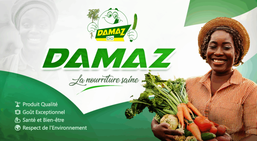 damaz01